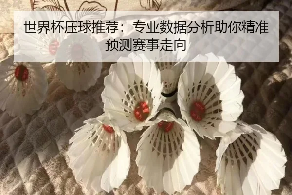 世界杯压球推荐：专业数据分析助你精准预测赛事走向